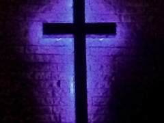 플라시보 효과?