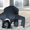 니코리조사대짐칸승객