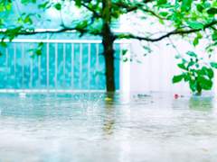 [고죠나나게토] 익숙한 알파에게서 익숙한 오메가의 향이 난다. #1