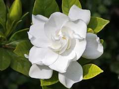 물에 잠기는 순간,