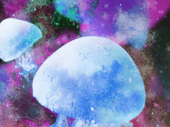 외지 않은 사랑에 대하여