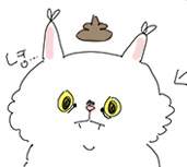 BONUS 휴지통 - 매일의 조각