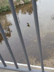 [타탈루미]욕망은 이내 나락으로