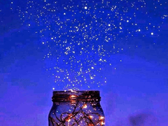 FLY ME THE THE MOON 4