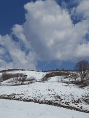 사주에 없는 것(無字)