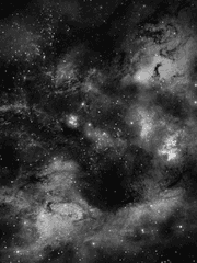 북극성 (北極星)