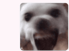 [레오키키] 수위 타로 후기