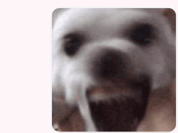 [레오키키] 수위 타로 후기