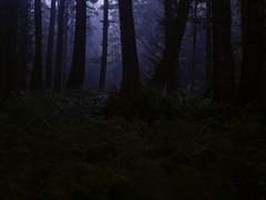 사그라들지 않을 분노에 육신을 태우리.