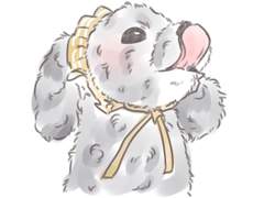 치요 반려동물 COMMISSION