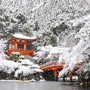 2019：ミッシング・ワールド