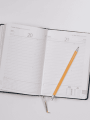 술흰의 심즈 일지