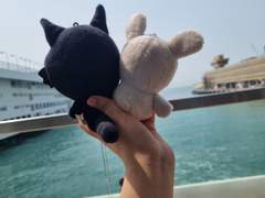 비토네디의 홍콩여행기