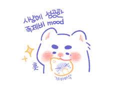 탄수라차 백업2