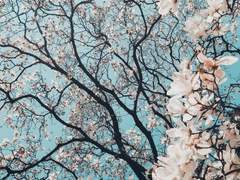 [준호치수] 충격 고릴라 실존 中