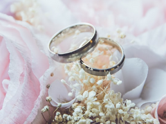 105. 너무 귀엽죠? 낮잠 자는 강아지네요