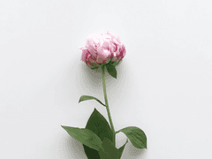 [GL] 기억조작 00