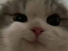 GL소설에 빙의하면 우린 이렇게 살기로 했어요 7