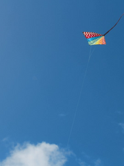 겁페 아라키타 드림+썰