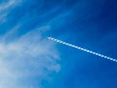 재유가 사라졌다.