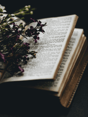 몇 글자의 탄생