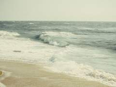 [대만태섭] 낭만현상(浪漫現像)