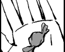 준호치수 - 화데 짧은 만화