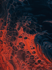 어디서 들은 거