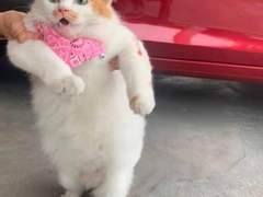 127막내 김여주 모먼트 EP.43