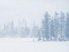 [청명이설] 위화 衛花