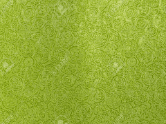 [카이부츠 이카쿠치/불명(외관 27)/히어로]