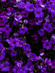 무조림 공방 For 포토샵