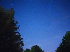 저 숱한 죽음의 이유는 비루하다