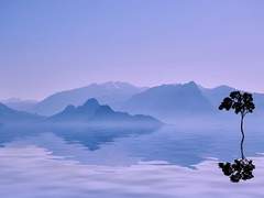 ICP 연구소 AU_ 캐프로필