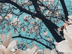 그럼 전부. 내가 욕심이 많거든.