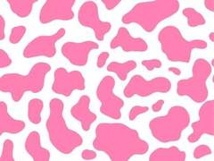 요시오카 에리카 • 갸루 • 1학년 • 여성