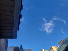 익숙한 새로움으로,