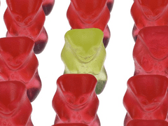 [문대큰세] 하리보 고백 대작전