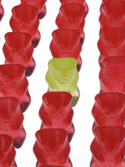 [문대큰세] 하리보 고백 대작전