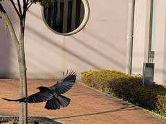 D+20 밤 11시에 라면 세 봉지 먹은 여자