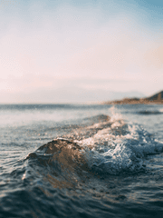 Since you are my life