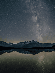 Convergent Evolution