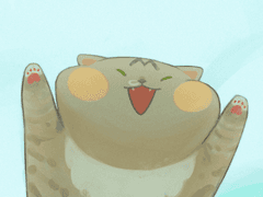 우리집 고양이 포리