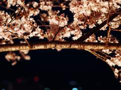 호열백호 : 영혼이 부르는 소리 上