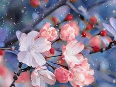 매화에 마음을 뺏기는 이들