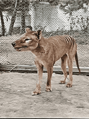 있었는데요, 없습니다