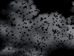 [란무테] 원흉元兇