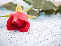 [순종적인 유산 / 재호리우] 고백