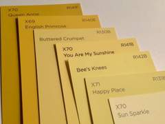 해바라기, 尹 志西