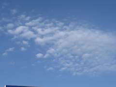 [태웅대만] 화이트데이 기념